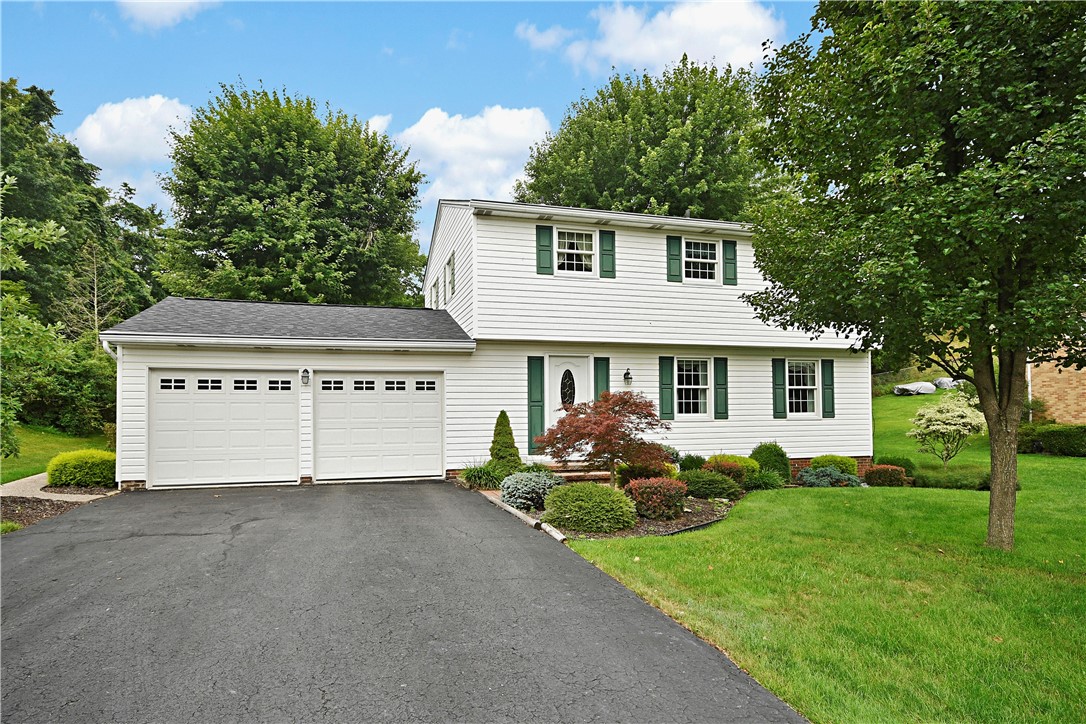 185 HAZELWOOD DR
