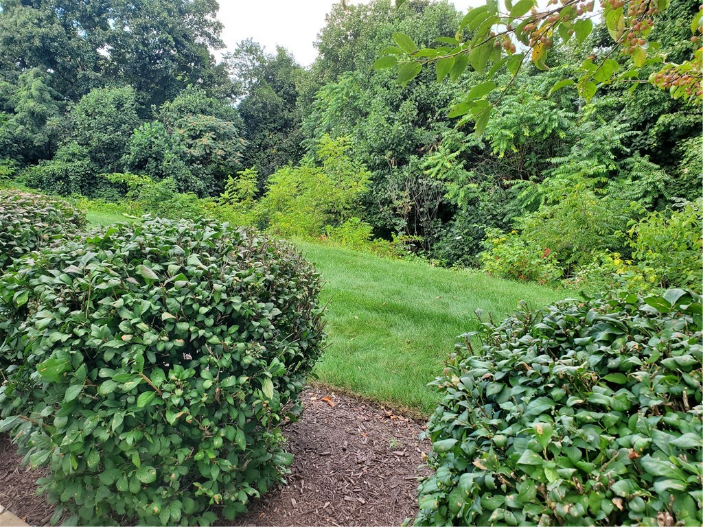538 FAIR MEADOW DRIVE