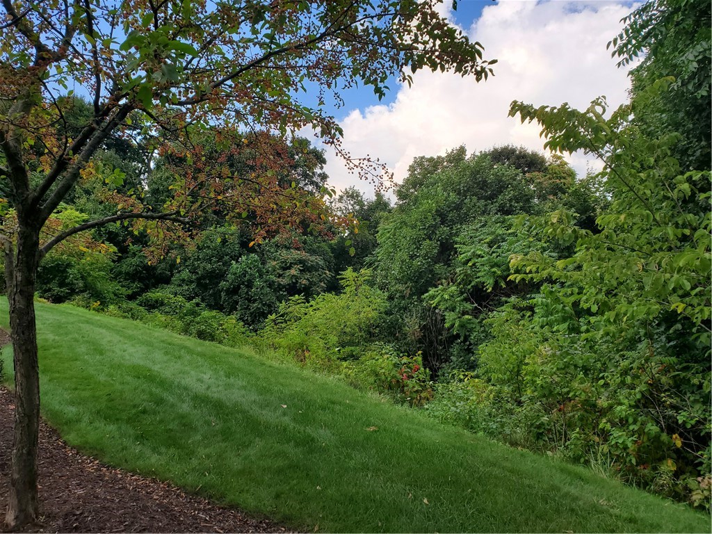 538 FAIR MEADOW DRIVE