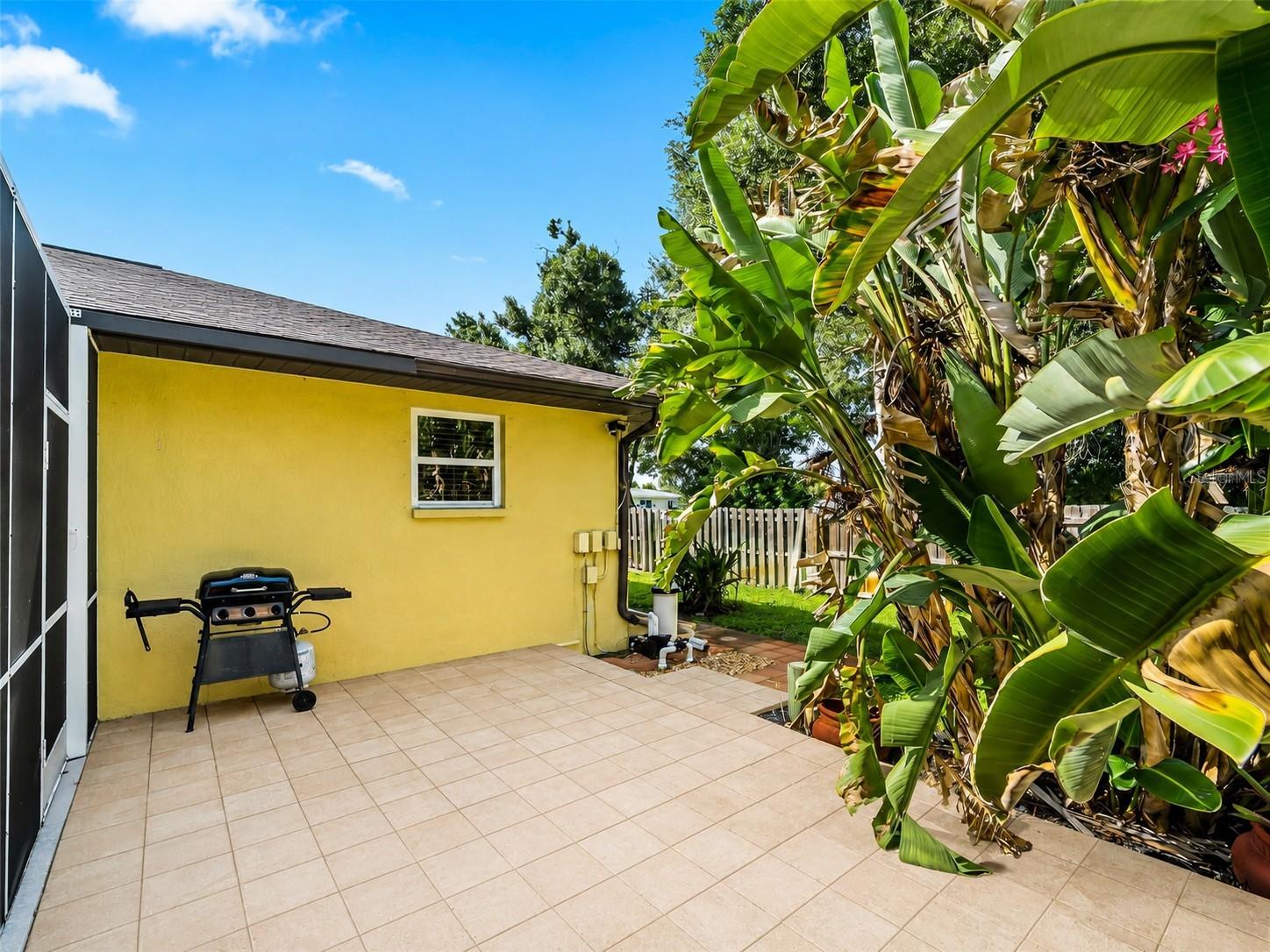 251 PLANTATION RD