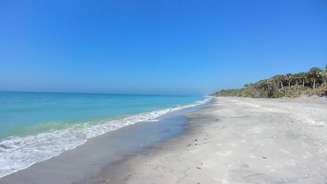 251 PLANTATION RD