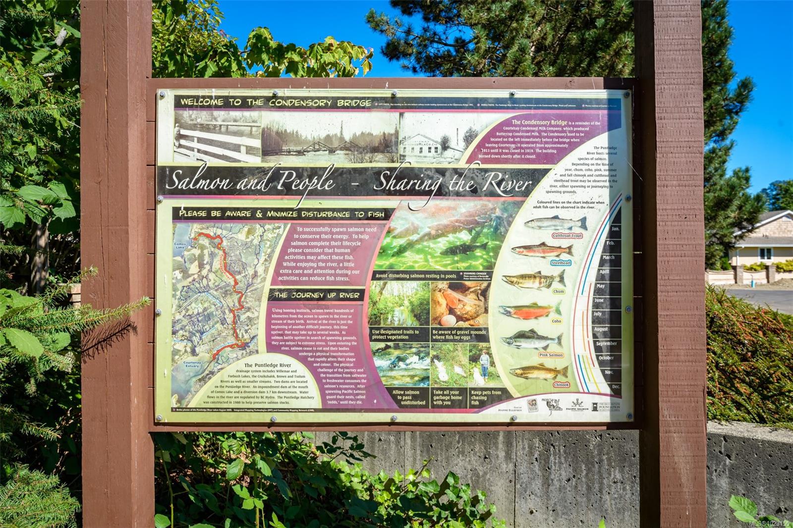 44 Anderton Ave # 2309