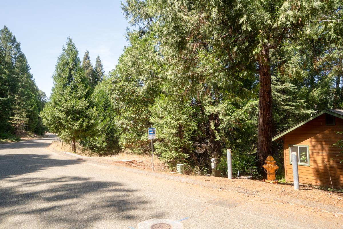 26131 Golf Links Drive