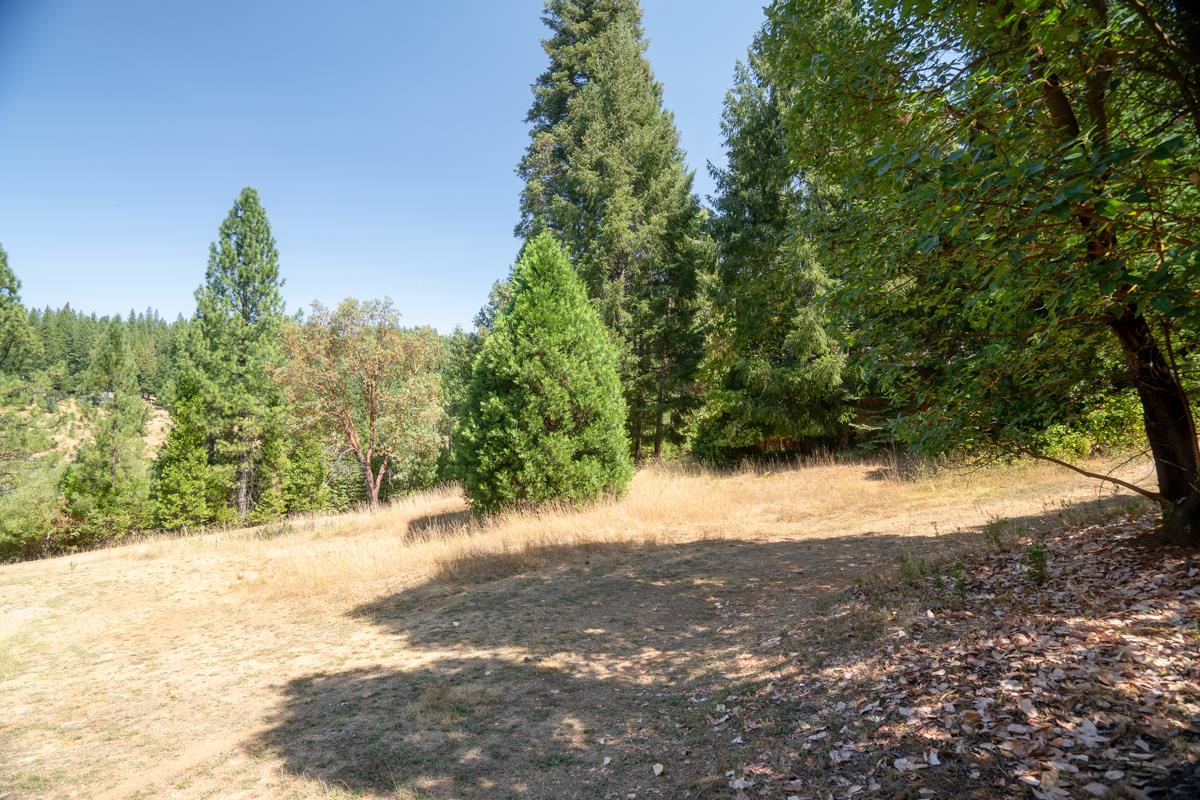 26131 Golf Links Drive