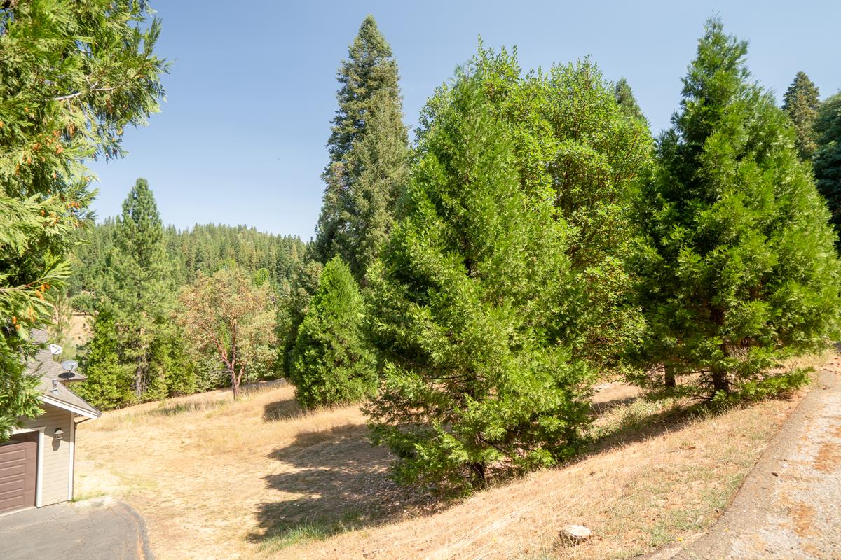 26131 Golf Links Drive
