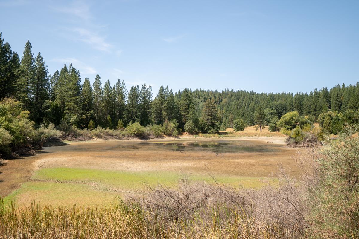 26131 Golf Links Drive