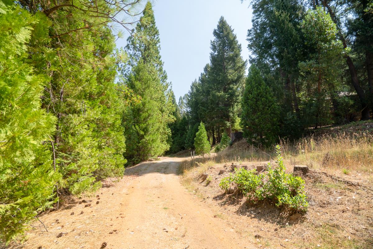 26131 Golf Links Drive