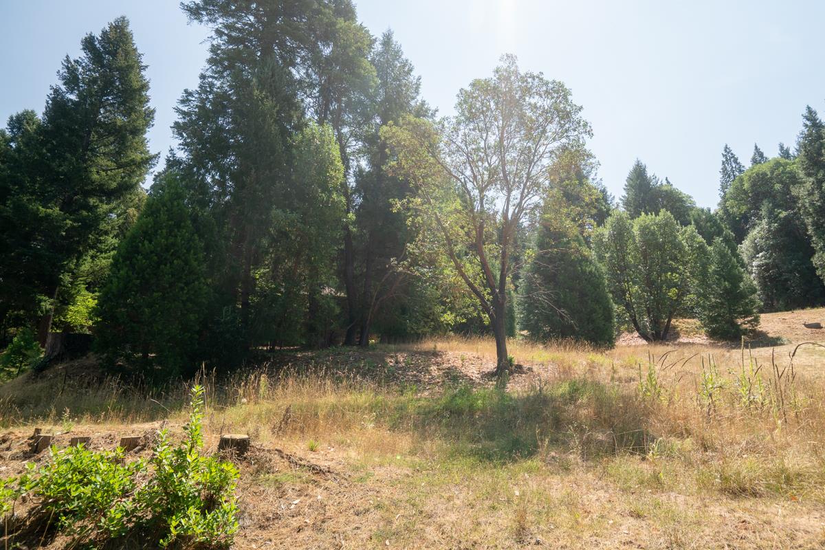26131 Golf Links Drive
