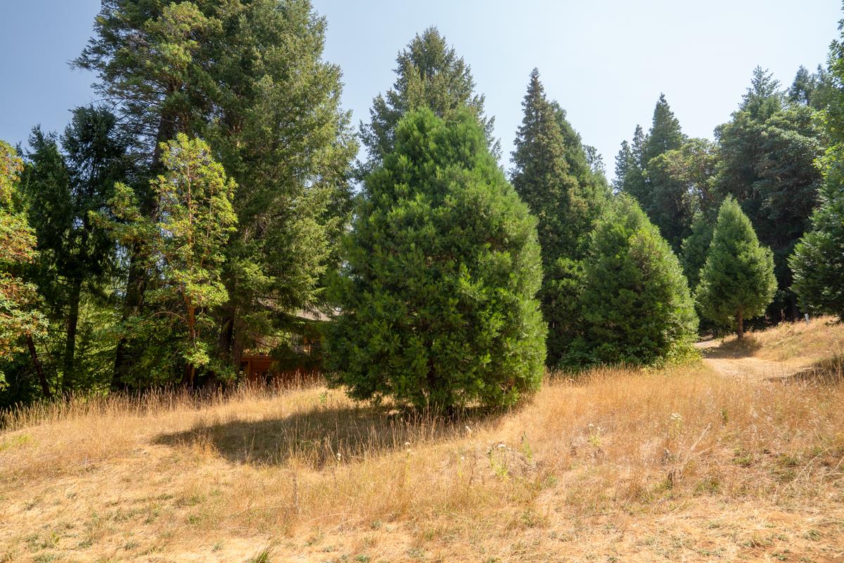 26131 Golf Links Drive