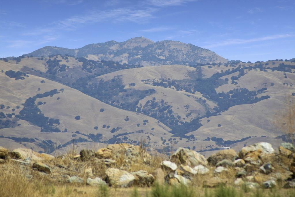 2988 Grassina Street Unit: 427