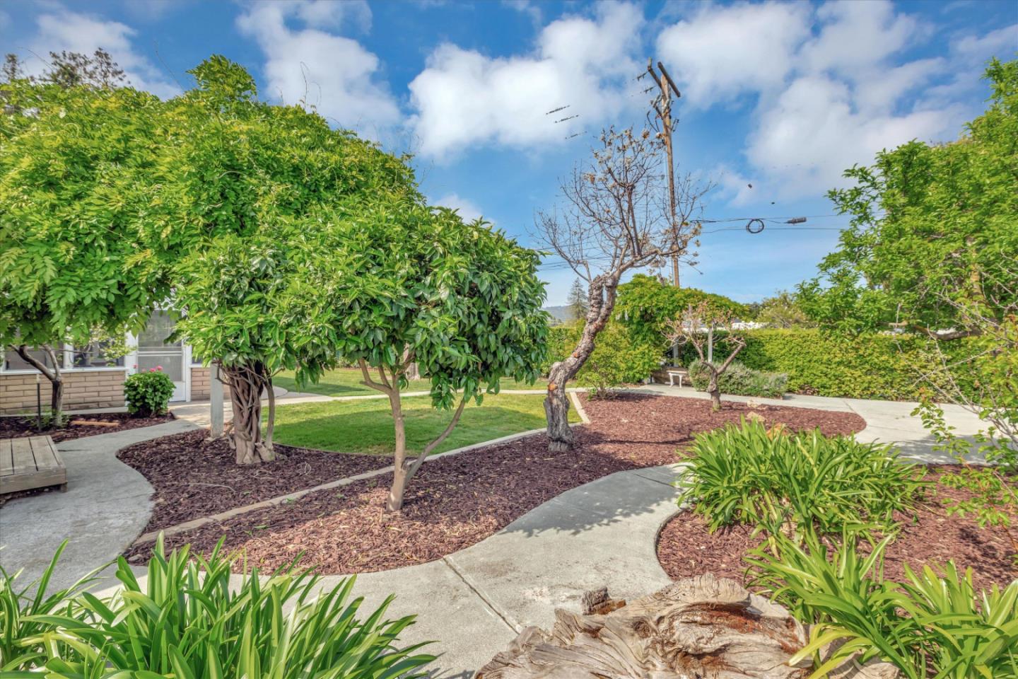 5451 Blossom Wood DR