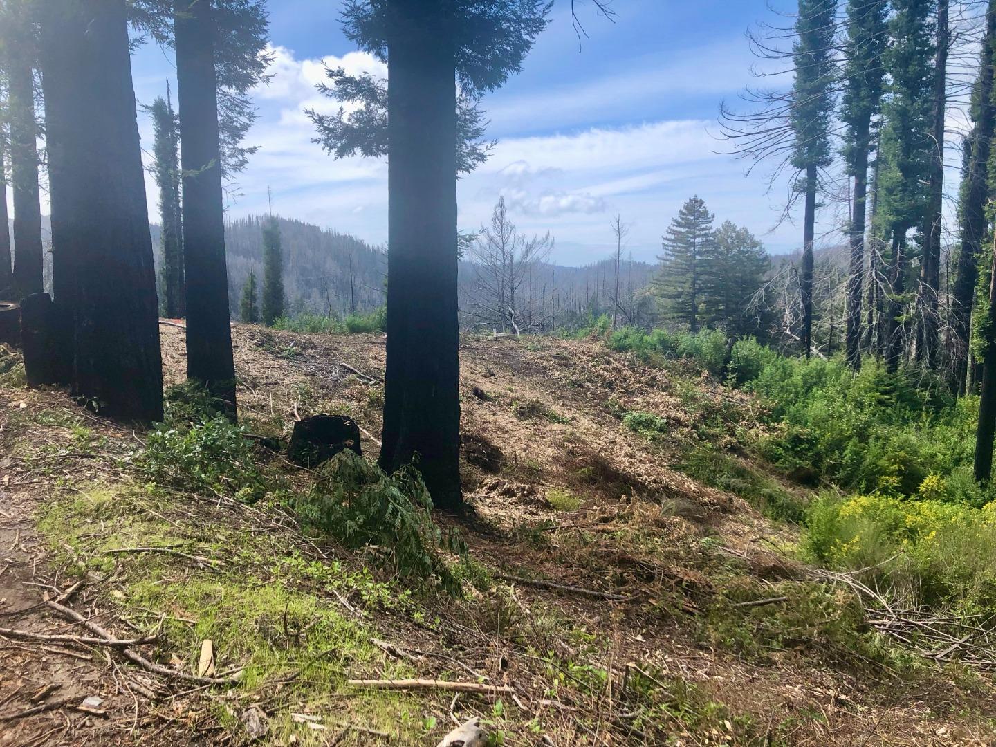 20801 Little Basin RD