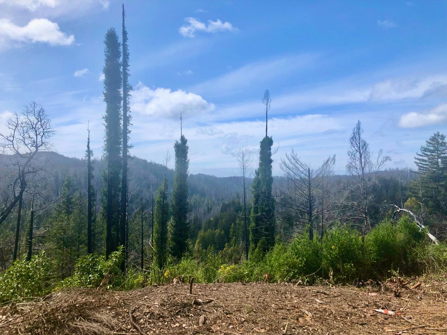 20801 Little Basin RD