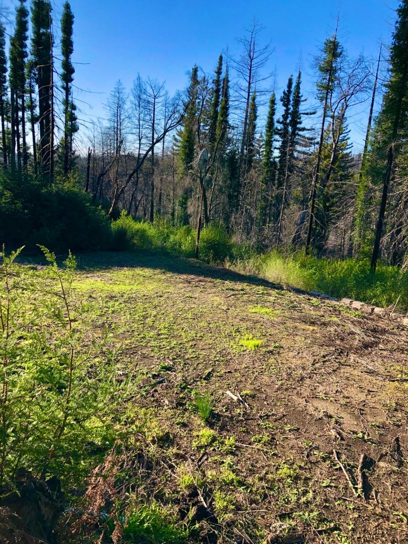 20801 Little Basin RD