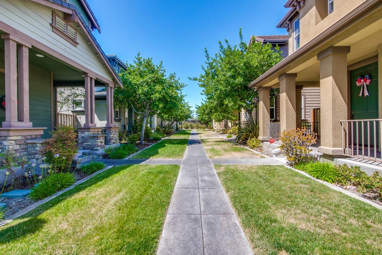 205 Rayos Del Sol DR