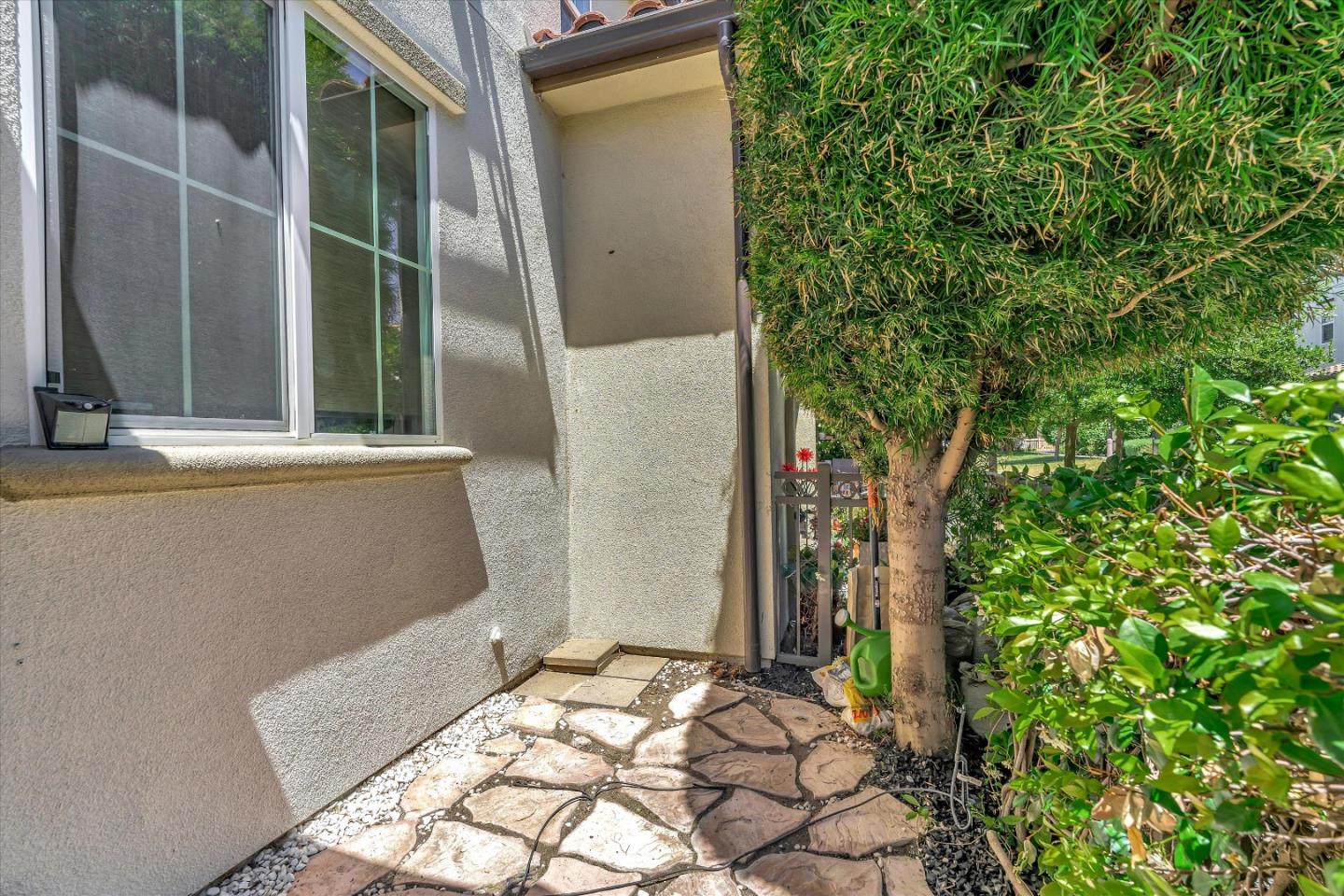 144 Larkspur LOOP