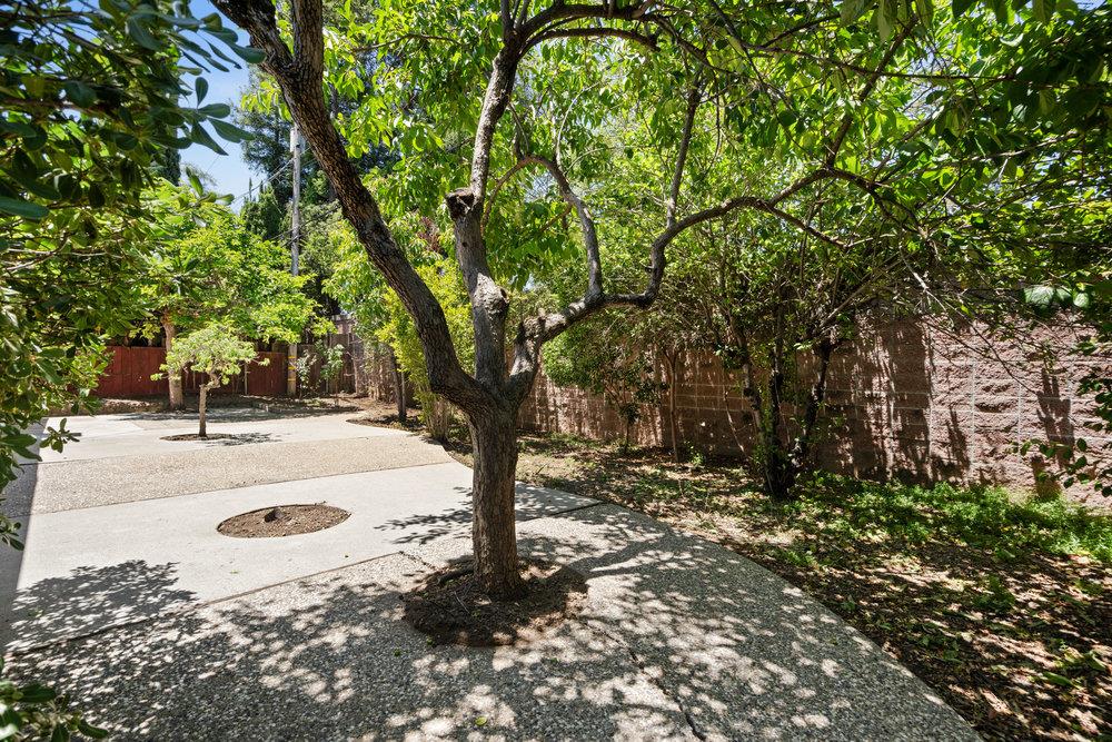 220 Highland Oaks DR