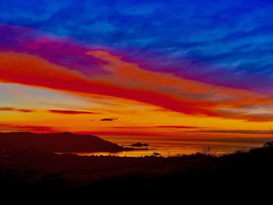 5017 Palmetto AVE 65