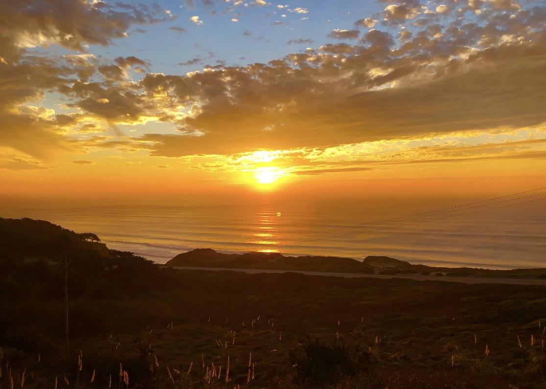 5017 Palmetto AVE 65