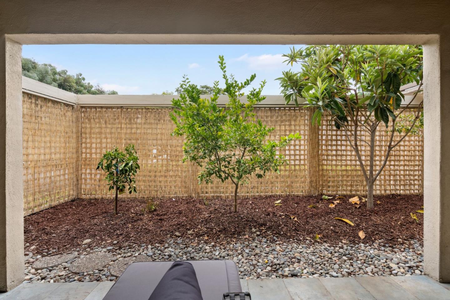 449 Alberto WAY C135