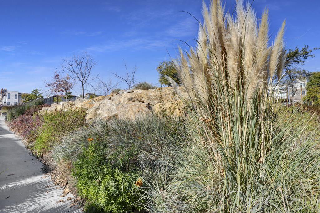 186 William Manly ST 5