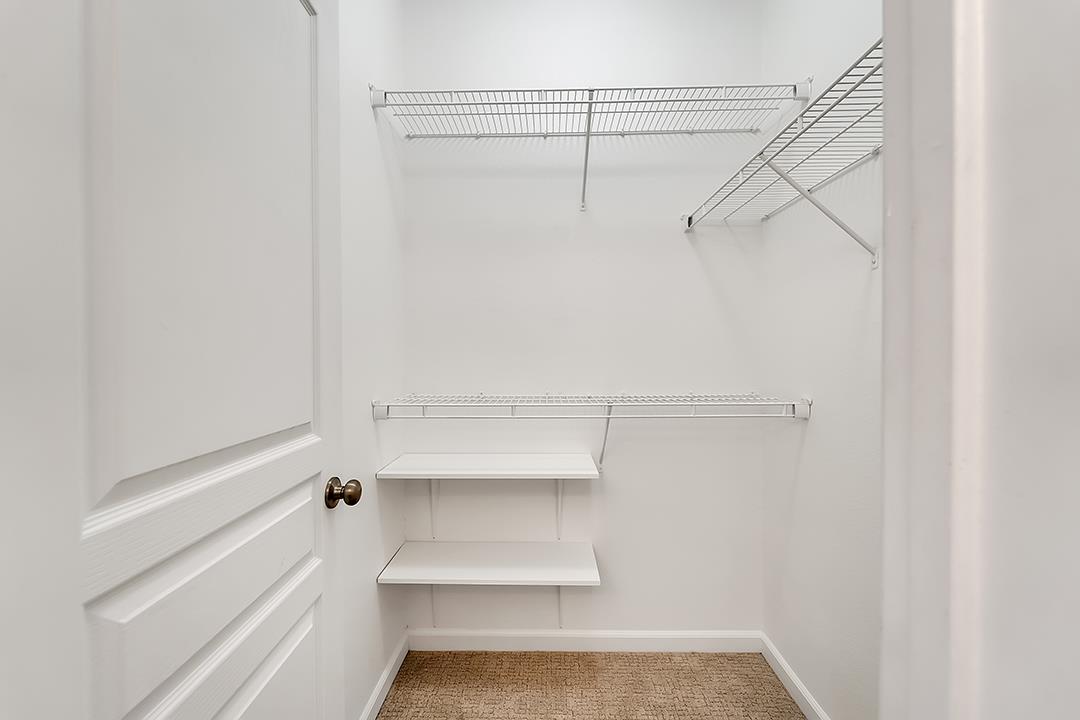 237 Bluebonnet LN 504