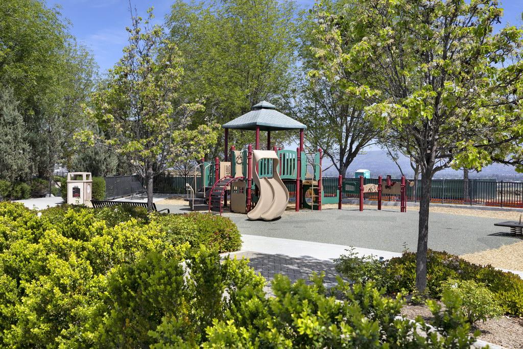 2988 Grassina ST 411