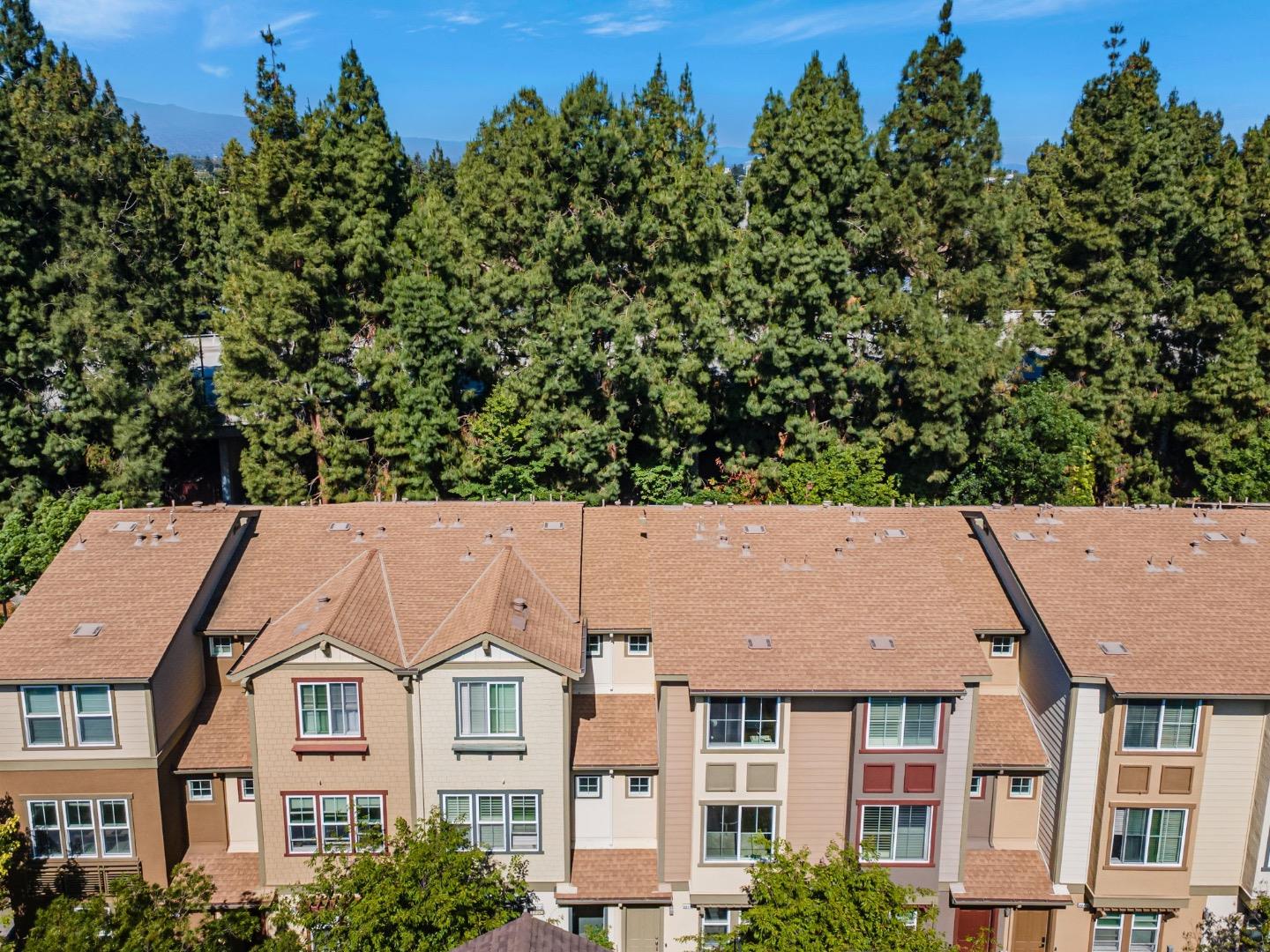 207 Peppermint Tree Terrace 4