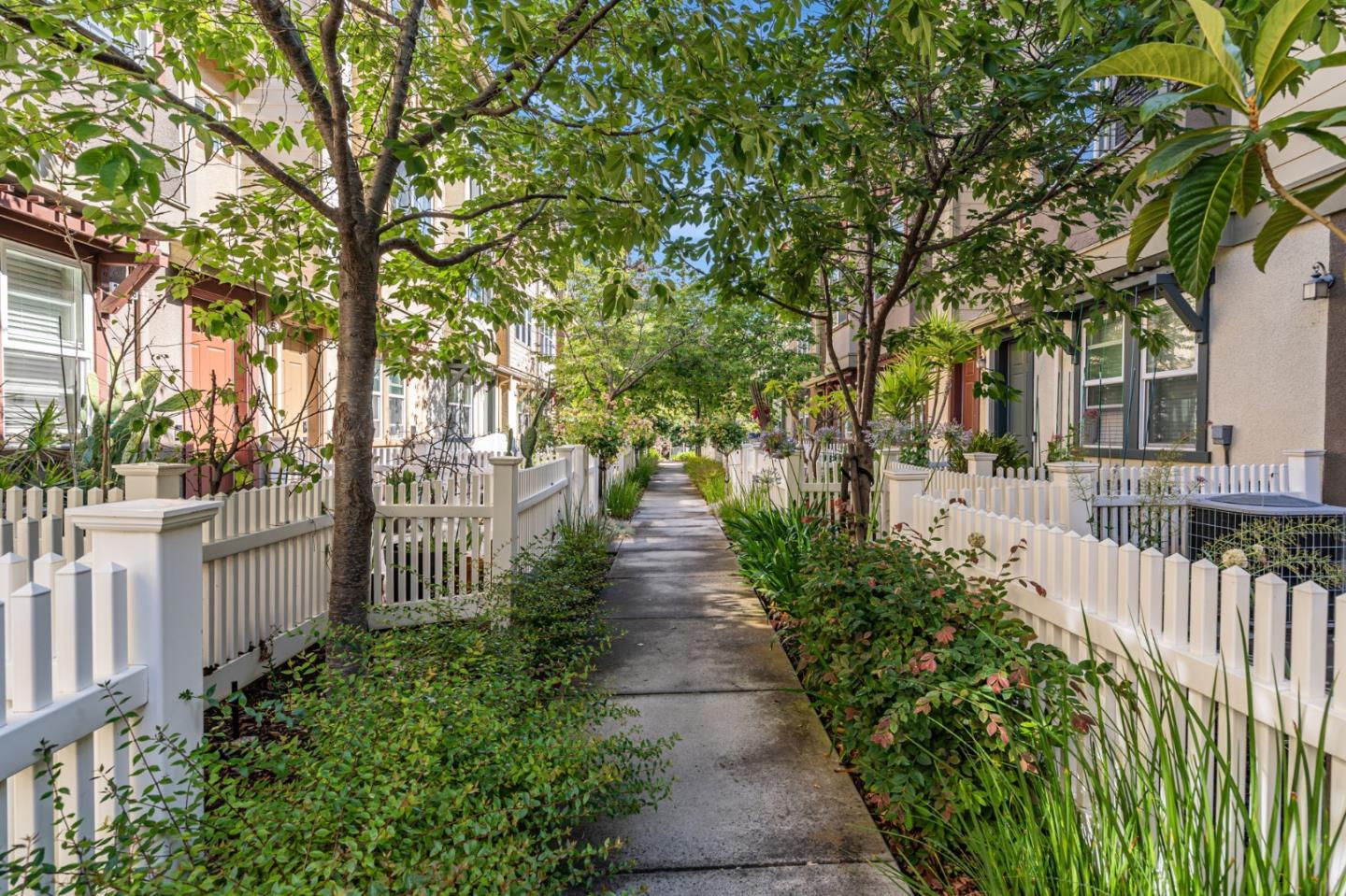 207 Peppermint Tree Terrace 4