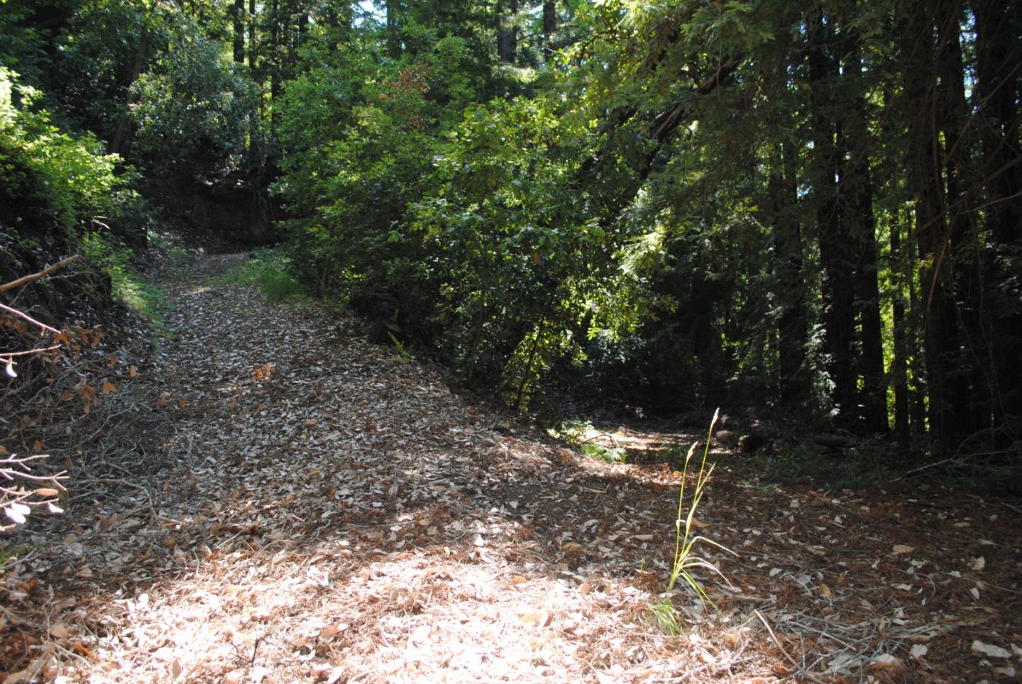 26000 Pierce Road