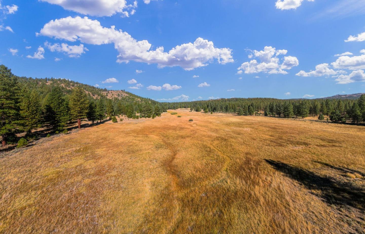 00 Meadow Way