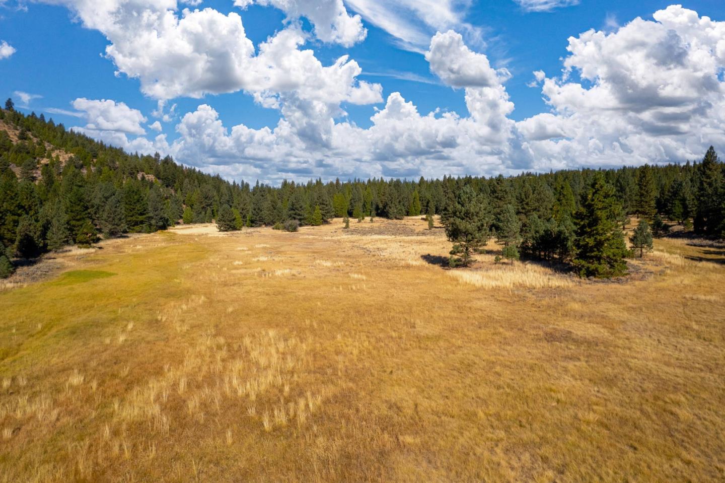 00 Meadow Way