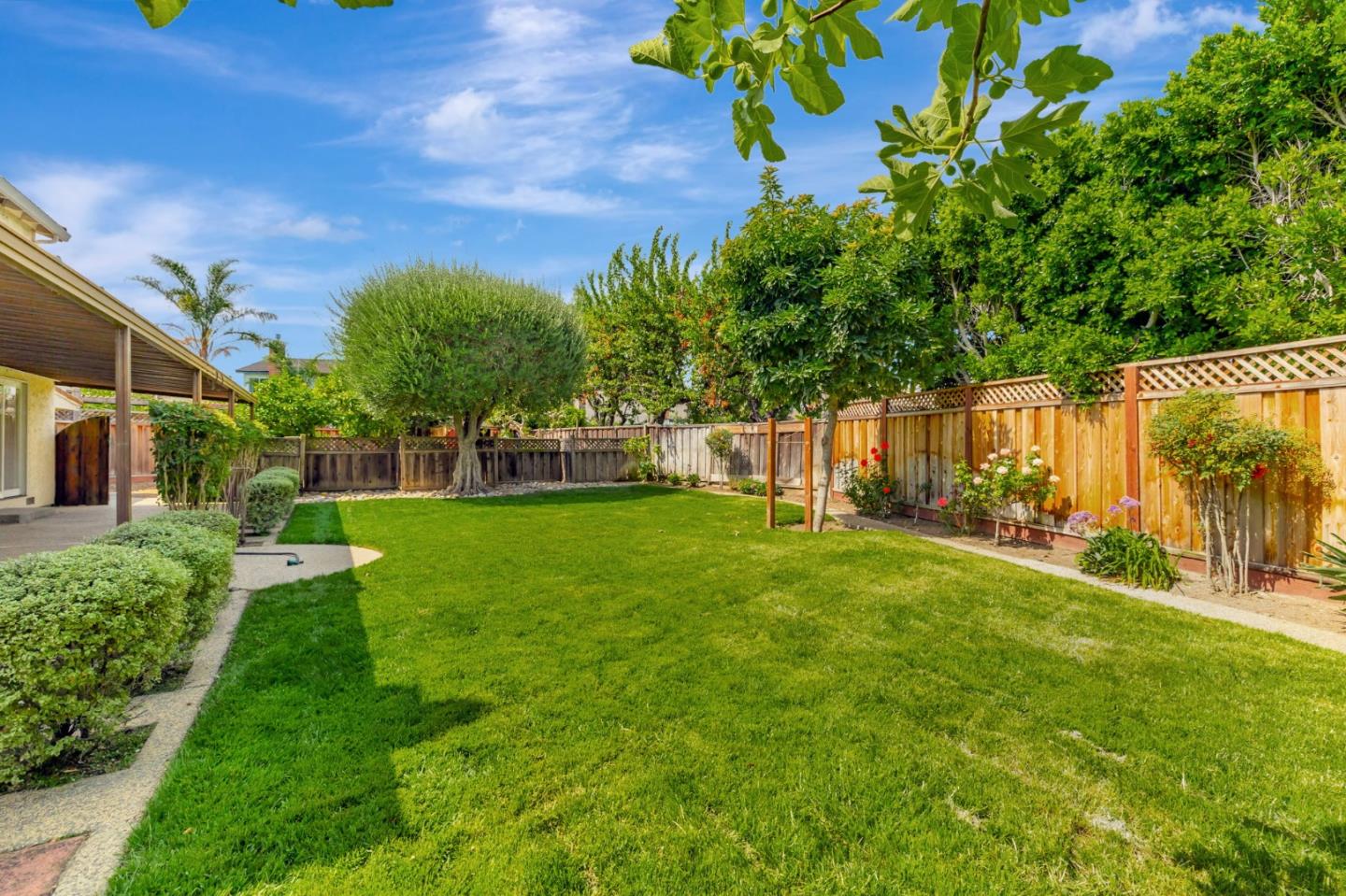 1615 Corte De Callas