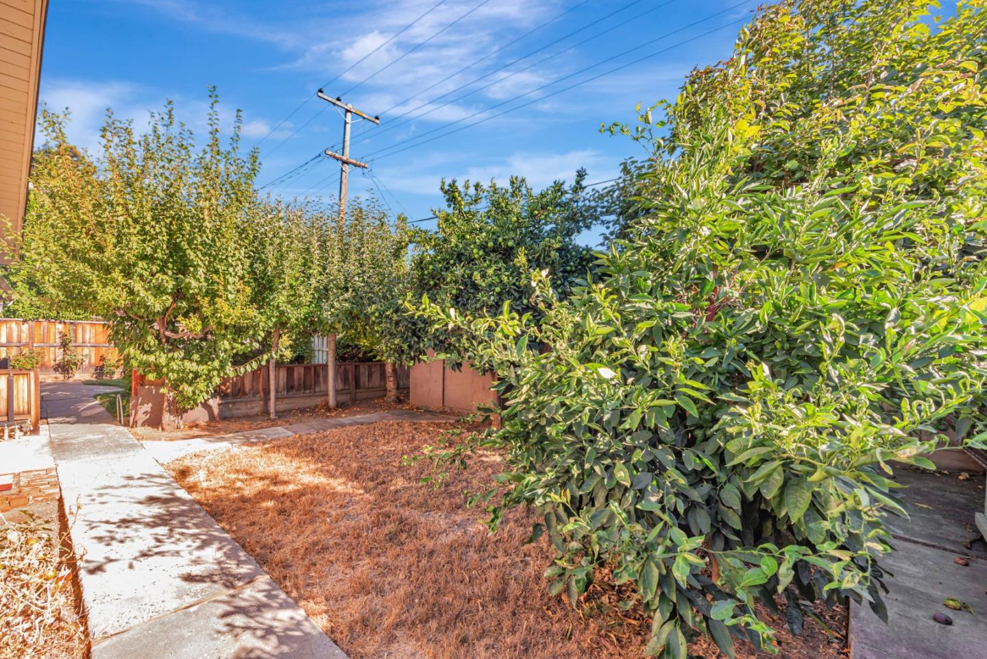 3816 Phoenix Court