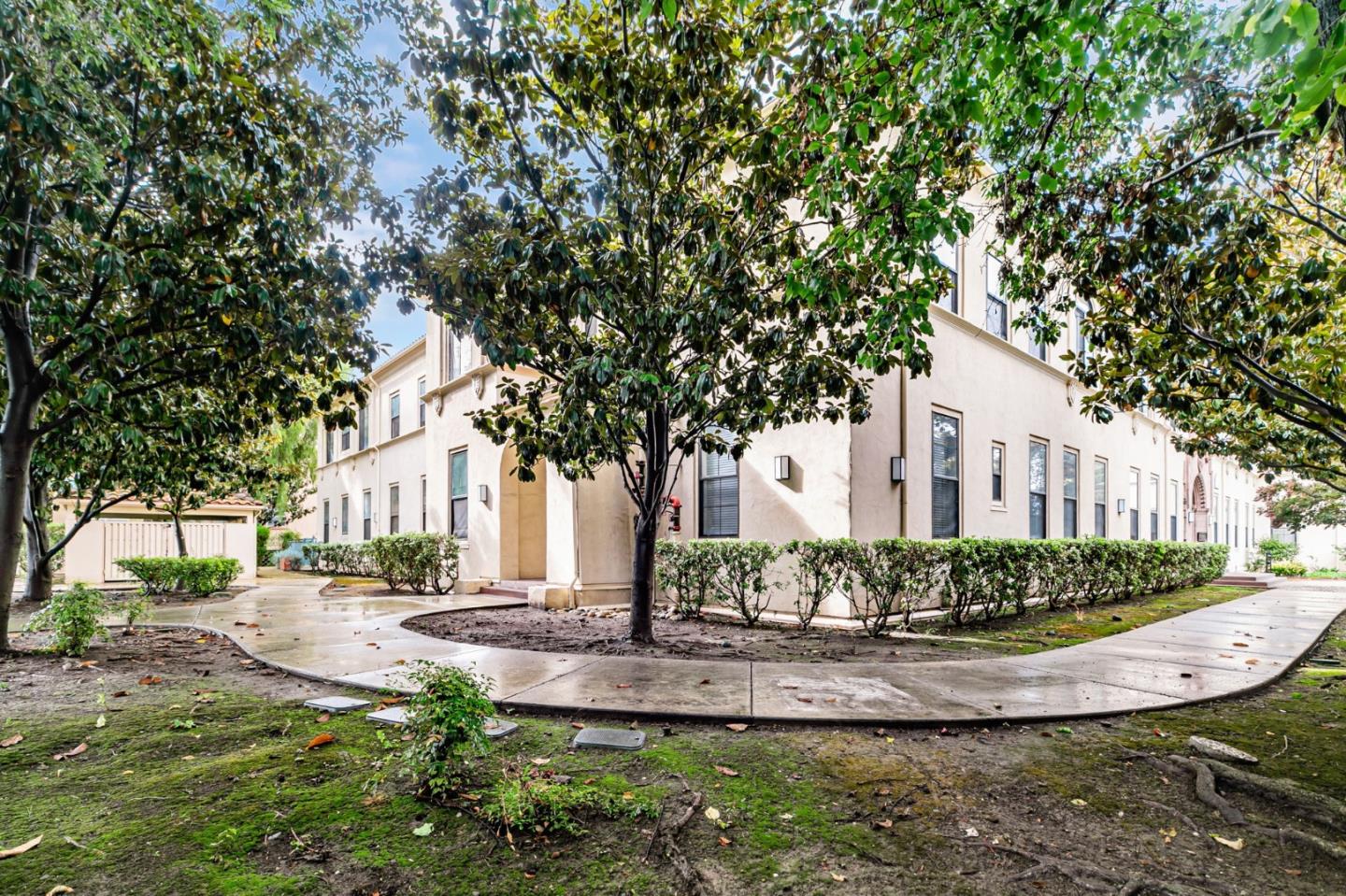 516 Martha Street 101