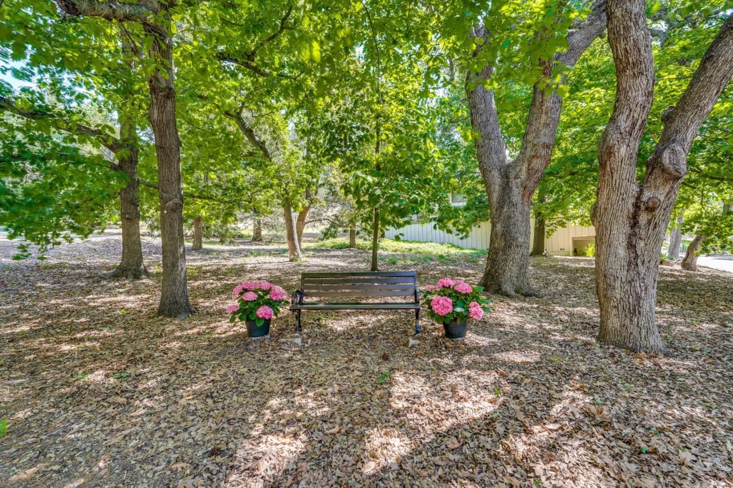 1278 Poker Flat Place