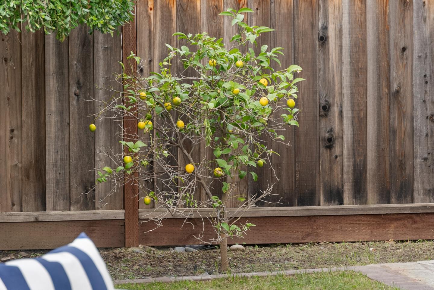 357 Sunnyslope Drive