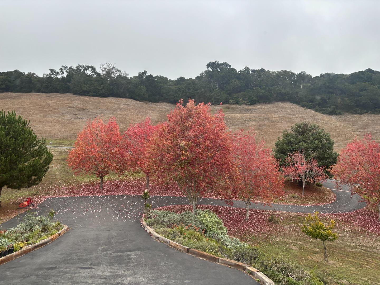 20160 Rock Springs Lane