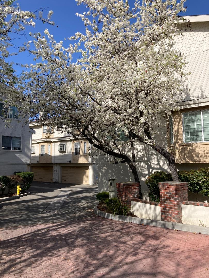 3673 South Bascom Avenue