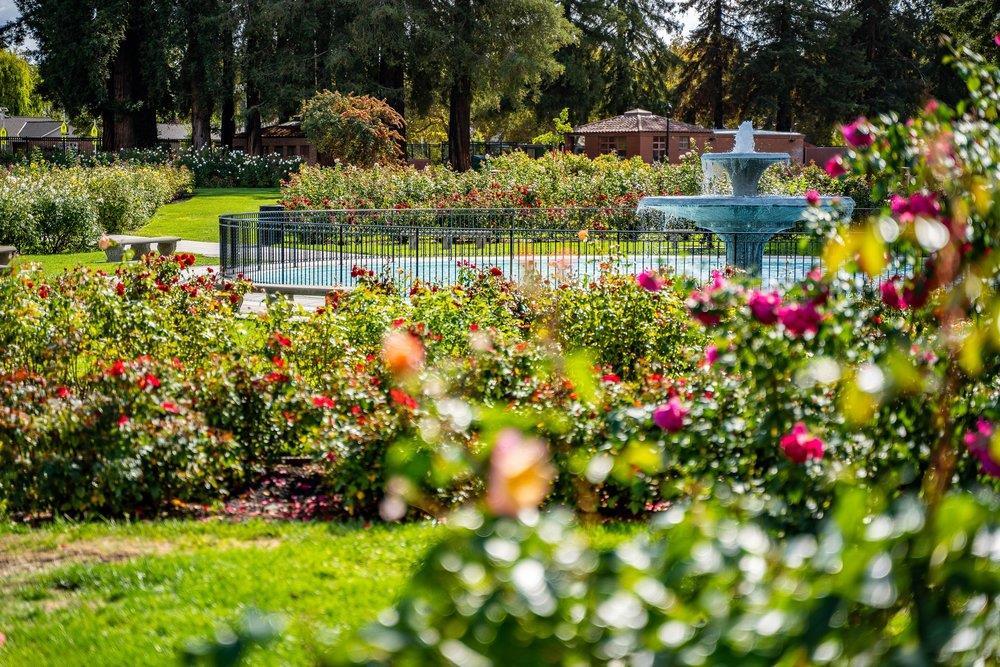 1555 Calaveras Avenue