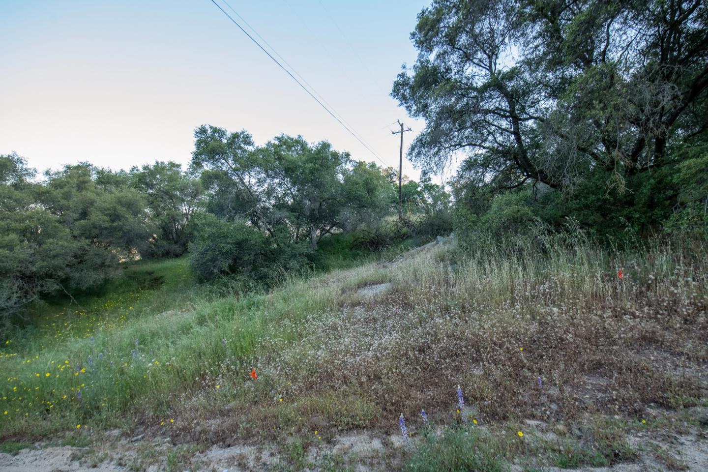 13804205 Pennyroyal Lane