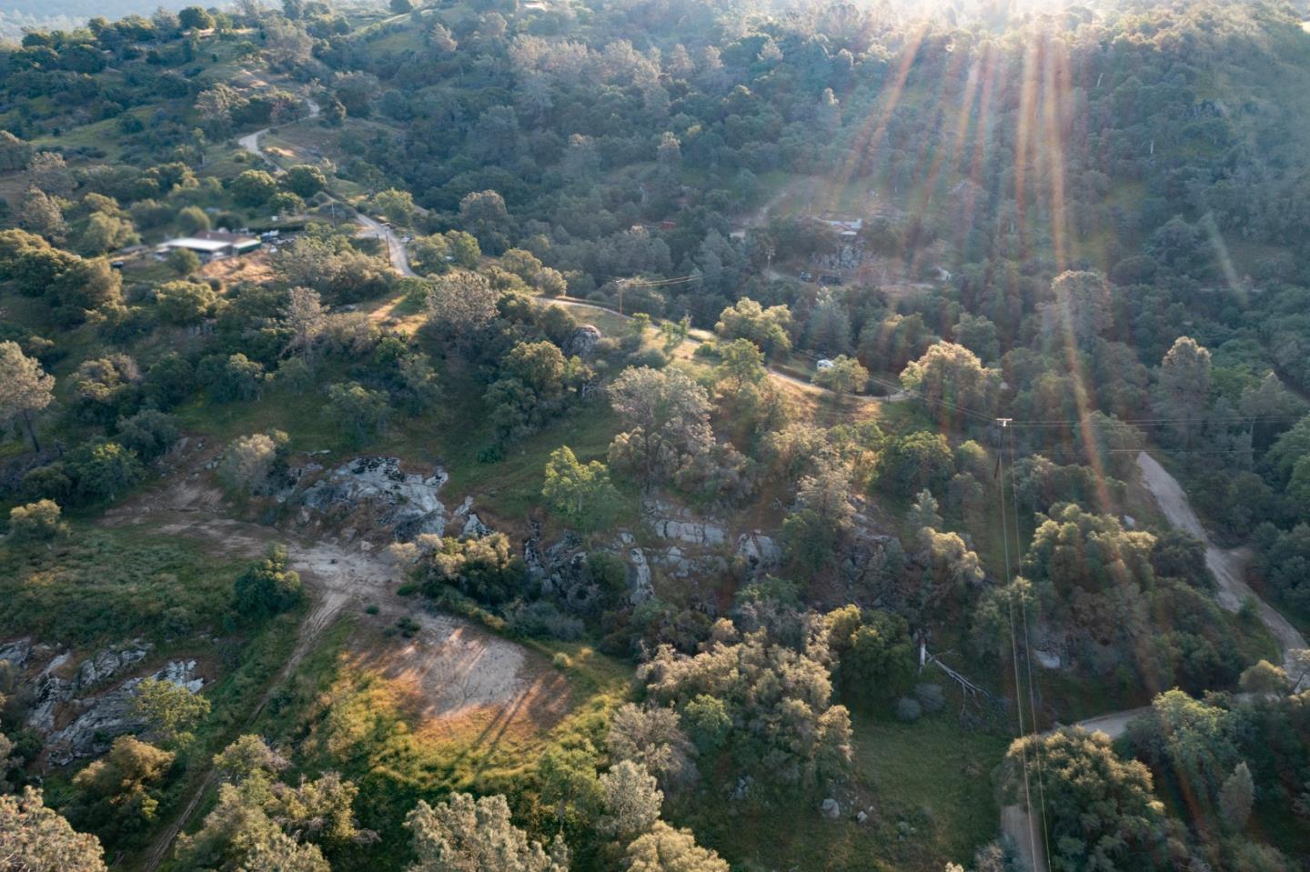 13804205 Pennyroyal Lane