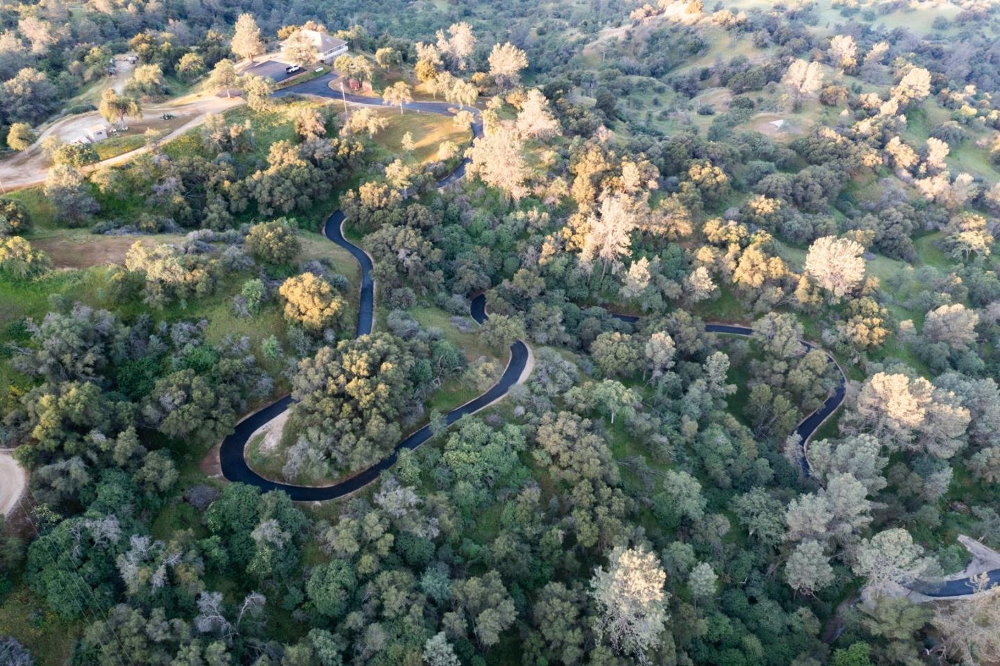 13804205 Pennyroyal Lane