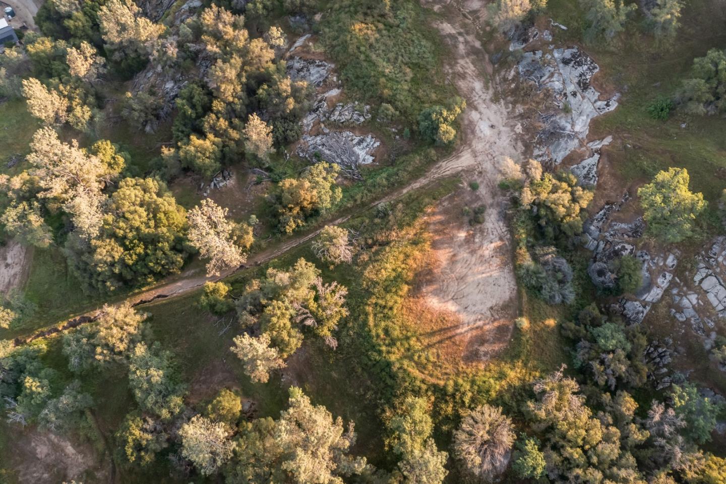 13804205 Pennyroyal Lane