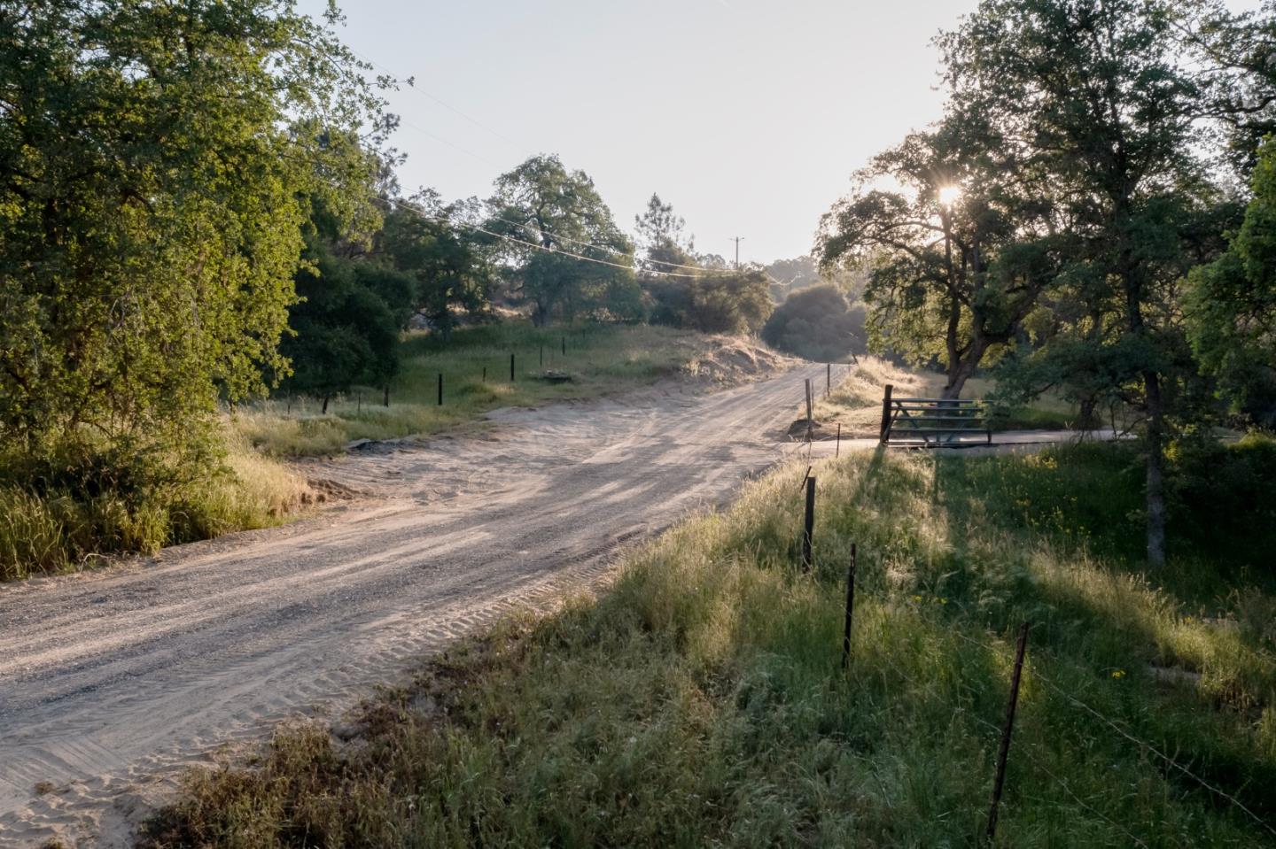 13804205 Pennyroyal Lane