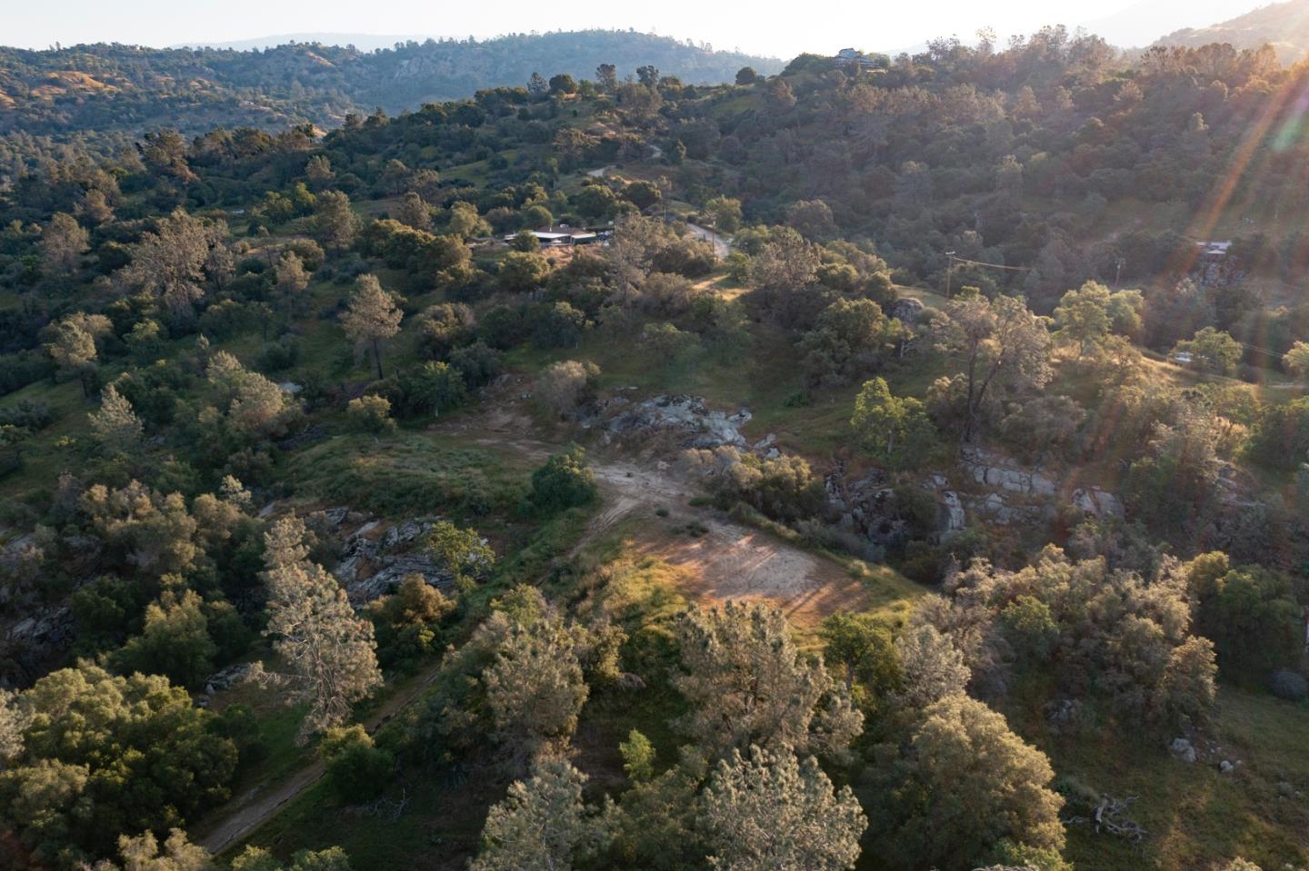 13804205 Pennyroyal Lane