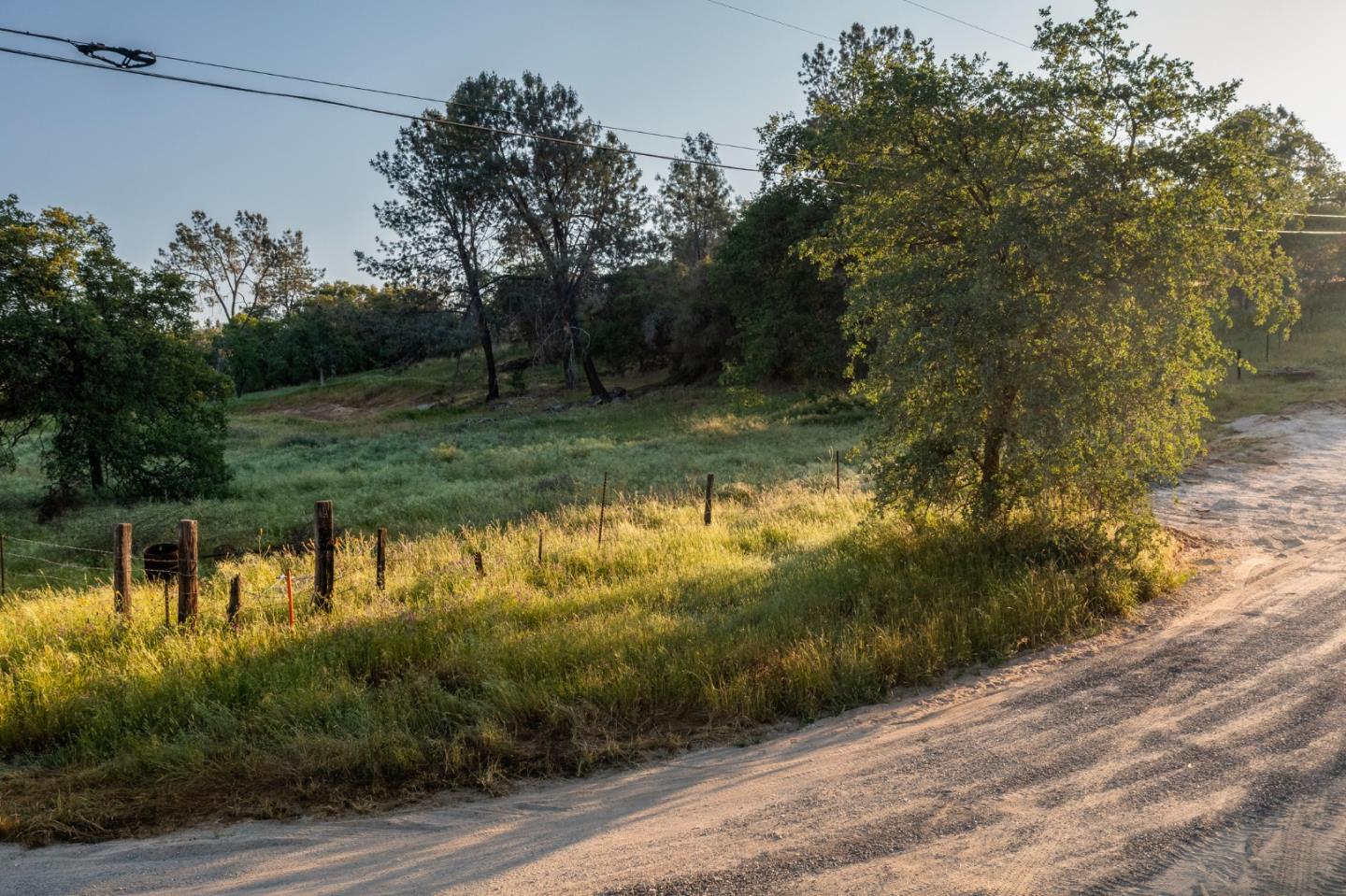 13804205 Pennyroyal Lane