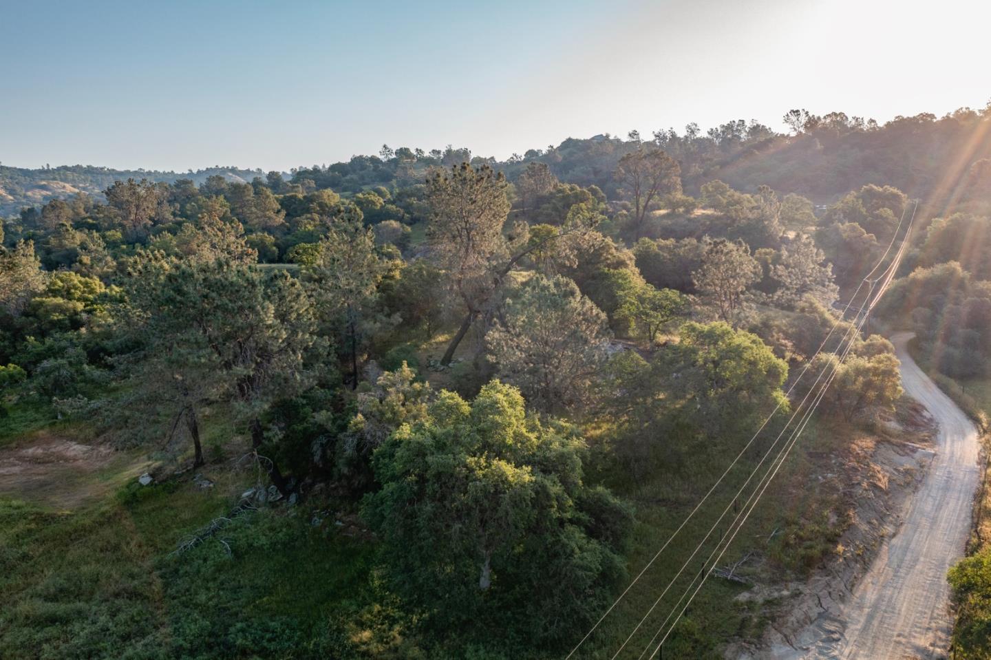 13804205 Pennyroyal Lane