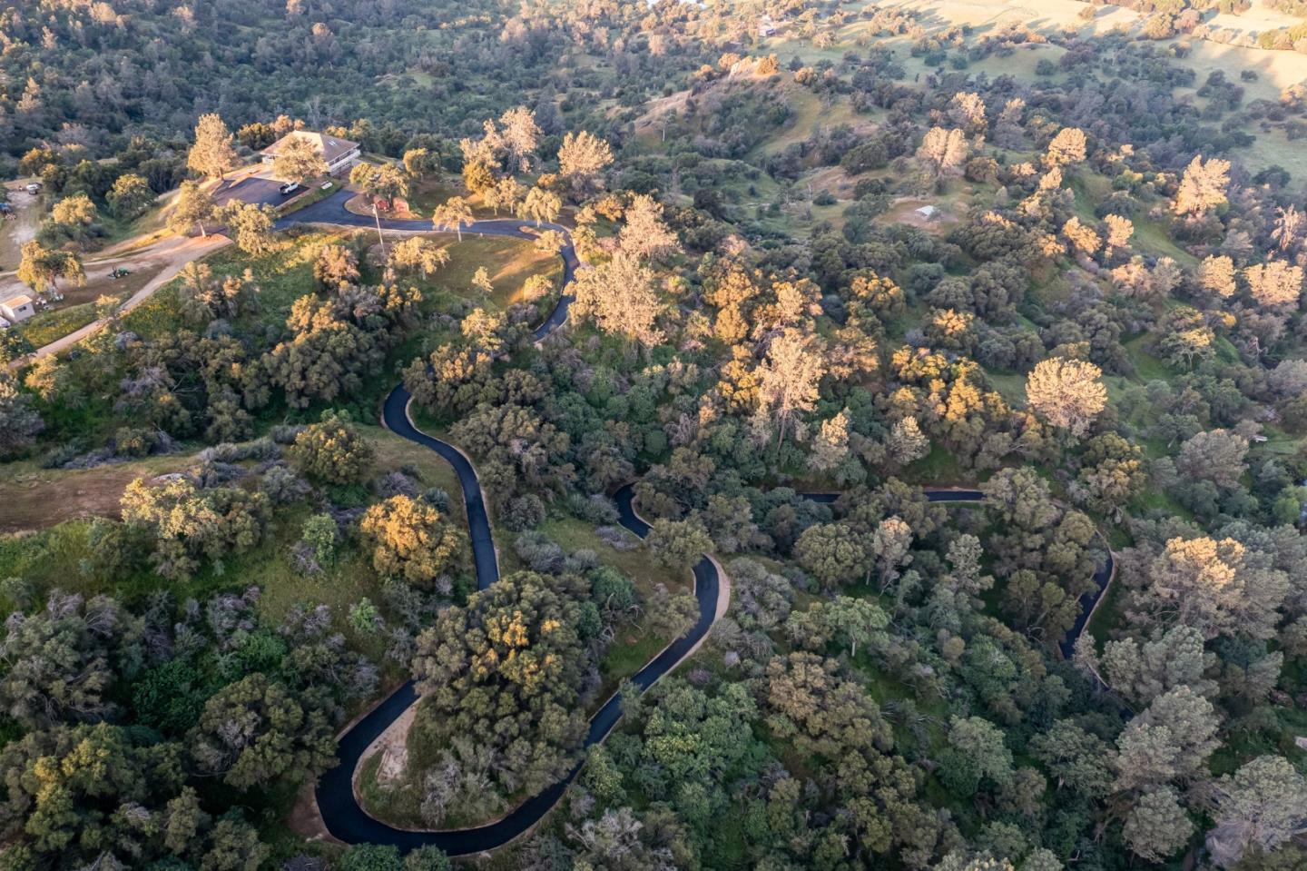 13804205 Pennyroyal Lane