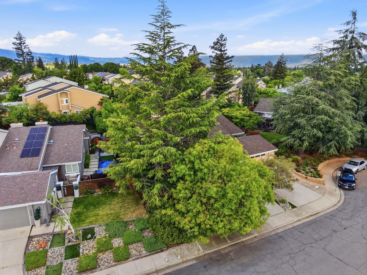 5231 Leesa Ann Court